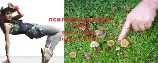 МДПВ Бугульма