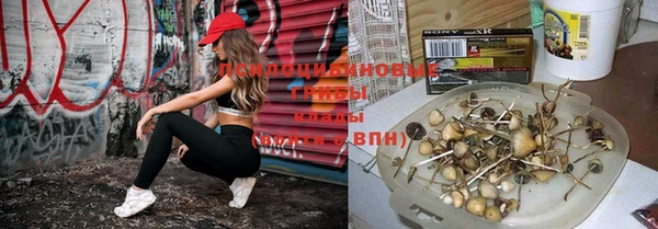 дистиллят марихуана Бронницы