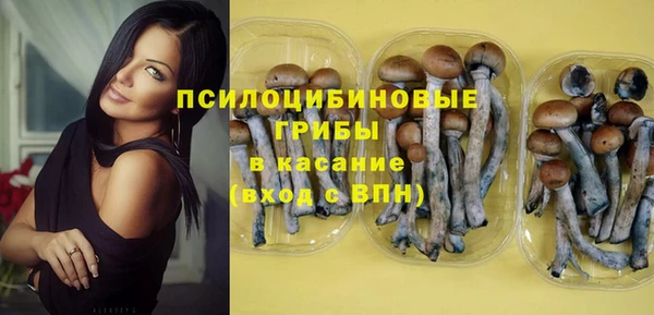 МДПВ Бугульма